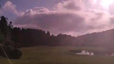 草原阳光树林仙女山旅行拍摄视频的预览图